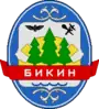 Bikinsky District