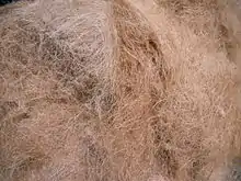 Coir fibre