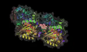 Binding site of colchicine