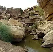 Cold water spring in the Kirthar National Park