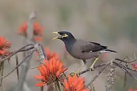 In Bangladesh