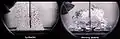 Comparison of boiling of water under earth's gravity (1 g, left) and microgravity (right). The source of heat is in the lower part of the photograph.