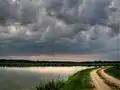 Constructed Wetland Trail