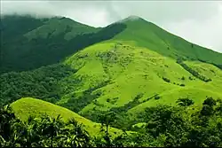 Grasslands in Coorg