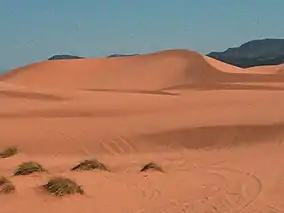 Coral Pink Sand Dunes State Park