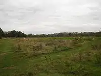 Cornmill Meadows