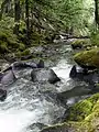 Welcome Creek in spring