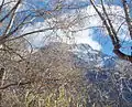 Kit Carson Mountain from Crestone in November 2010