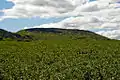 Cringle Moor from Bank Lane
