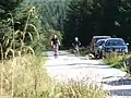 Gisburn Forest