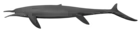 Cymbospondylus petrinus