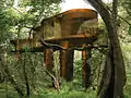 Trumpet House