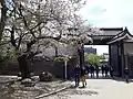Inner-View of Sakuramon Gate
