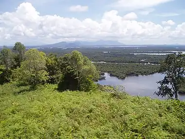 Image 10Wetland habitat types in Borneo (from Habitat)