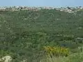View of Darbechtar.