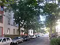 A typical street in Offenbach