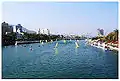 Sailboats on the Love River.