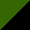 CSB school colors