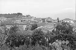 Podraga in 1958