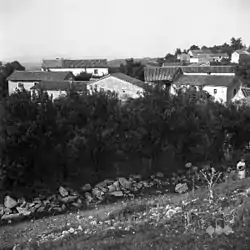 Račice in 1955