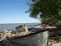 Lake Manitoba From Delta Marsh Field Station