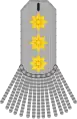 Army uniform (1801–1822)