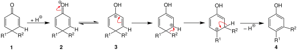 Proposed reaction mechanism of dienone–phenol rearrangement