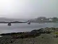 Mist on Digby bay.