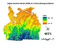 Digital Elevation Model(DEM) of La Selva Biological Station
