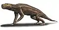 Artist's impression of Dinogorgon rubidgei by Nobu Tamura.