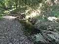Williams Creek
