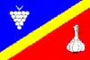 Flag of Dolní Němčí