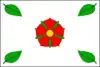 Flag of Dolní Bukovsko