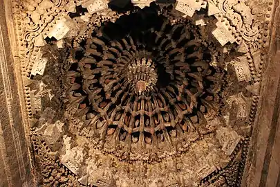 Ceiling leaves