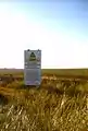 Salt marsh