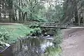 Donnelly Weir foot bridge
