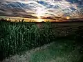 Sun dogs in Hesse, Germany