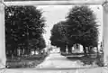 Old picture of the square