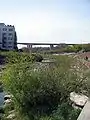 Looking downstream to the Capital Region First Ring Expressway