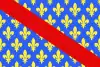 Unofficial flag