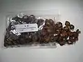 Dried Crataegus fruits labelled "Crataegus scabrifolia"