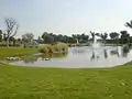 Near golf course, Dhahran Hills