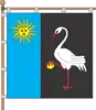 Flag of Dunaivtsi