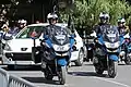 VIP escort