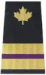 Engineer, purple