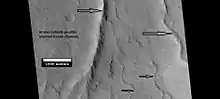 Possible inverted stream channels, Amazonis quadrangle, as seen by HiRISE under HiWish program.  The ridges were probably once stream valleys that have become full of sediment and cemented.  So, they became hardened against erosion which removed surrounding material. Illumination is from the left (west).