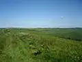 East Garston Down