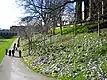 East Princes Street Gardens