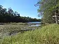 Enoggera dam in 2018