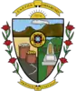 Official seal of Oreamuno